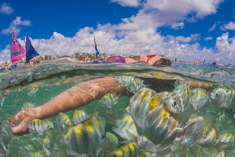 onde fica as piscinas naturais de porto de galinhas